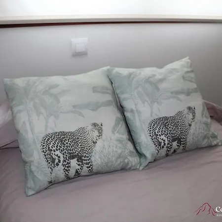 Nansa - Casas De Picos Celis