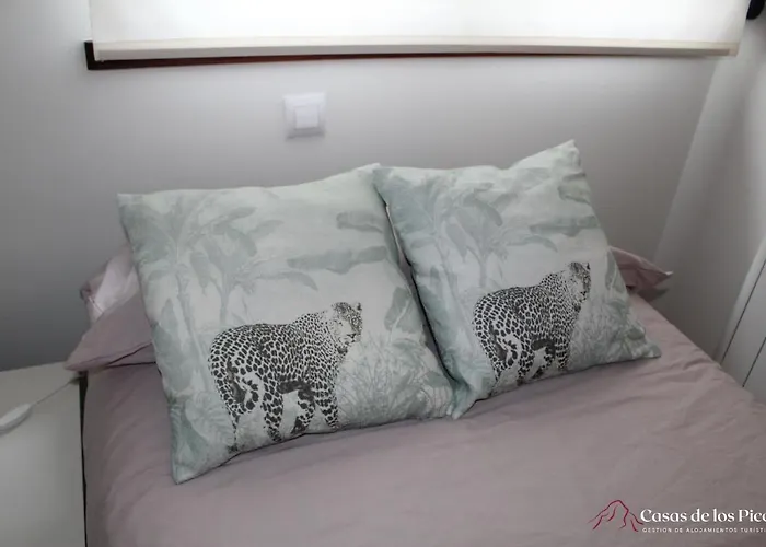 Nansa - Casas De Picos Celis